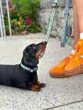 Love Bug Collar